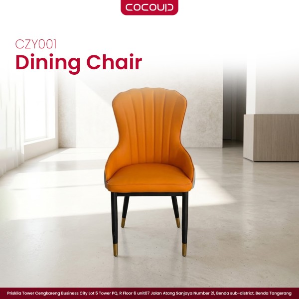 Dining Chair CZY001