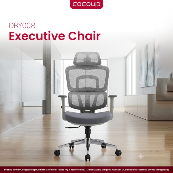 Ergonomic Chair DBY008
