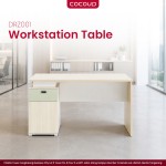 Office Work Desk DRZ001 (1.2m)