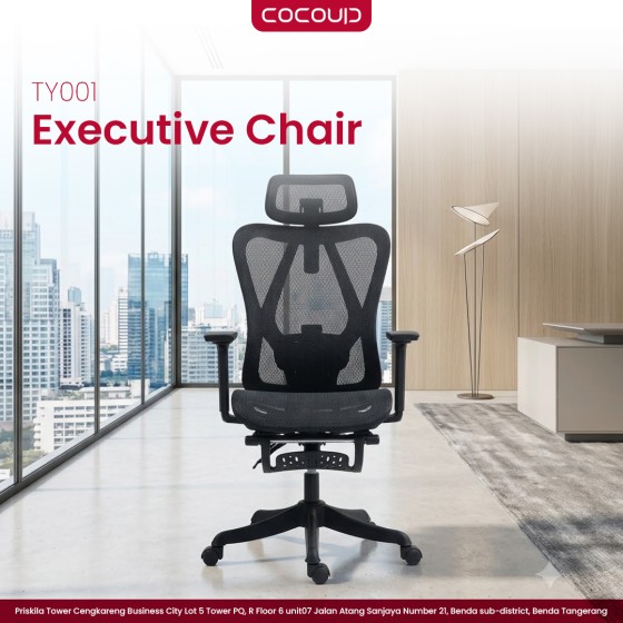 Ergonomic Chair TY001