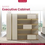 Executive Cabinet BJG002